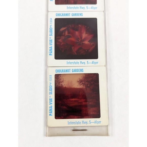 Vintage GAF Pana-Vue Slides Chuckanut Gardens Alger Washington Lot of 5 PV125 - Picture 7 of 10